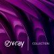 V-Ray Collection<br> רישיון לשנה 6